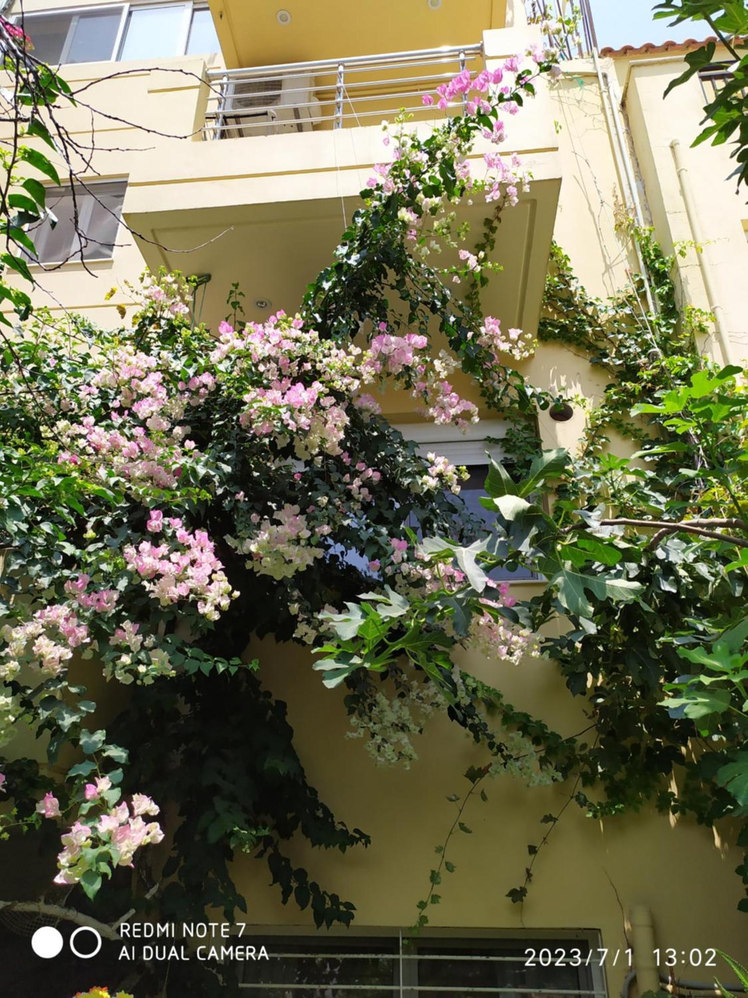 Georgia'S Family Apartment Heraklion  Exterior photo